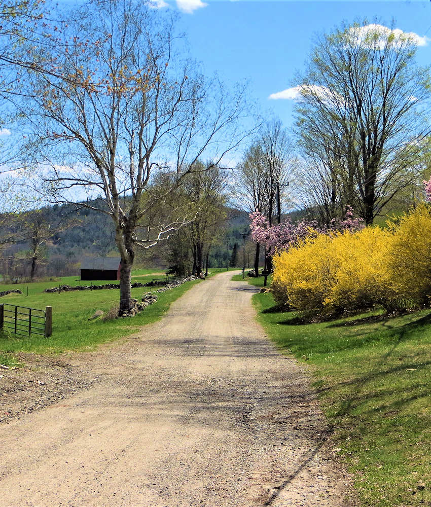 Dirt Road