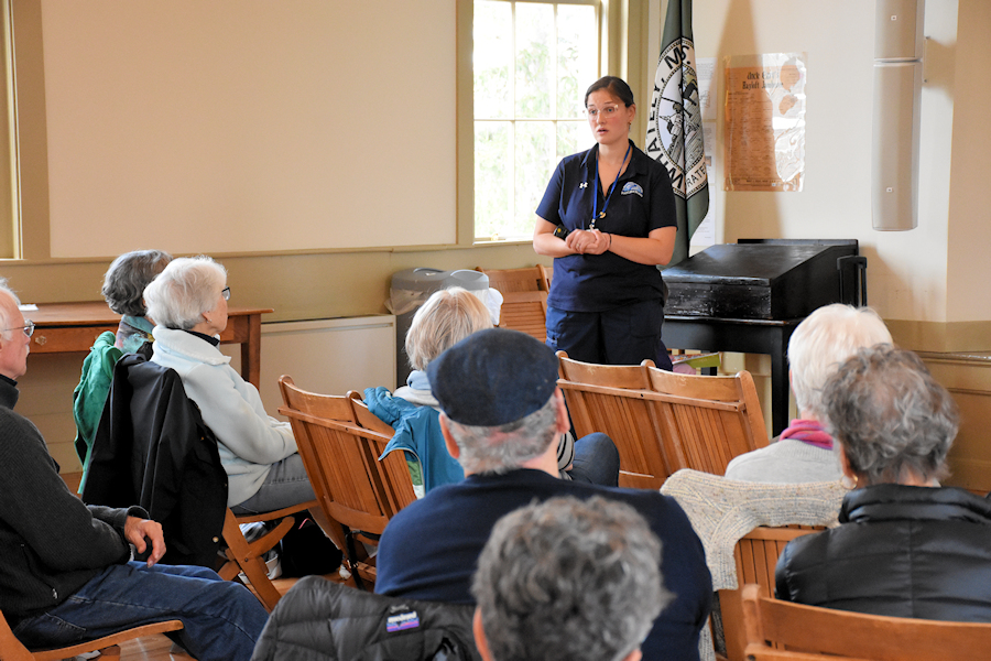 FootCare by Nurses Presentation