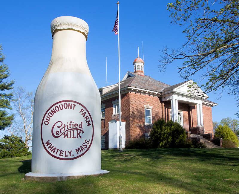 Quontquont Farrm Milk Bottle