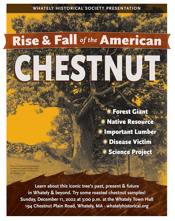 Rise and Fall of the American Chestnut